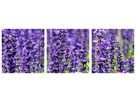 panoramic-3-piece-canvas-print-xl-lavender