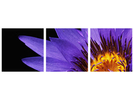 panoramic-3-piece-canvas-print-xl-water-lily-in-purple