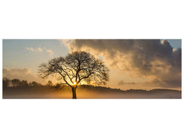 panoramic-canvas-print-a-lonely-tree