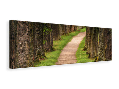 panoramic-canvas-print-a-path-in-the-forest