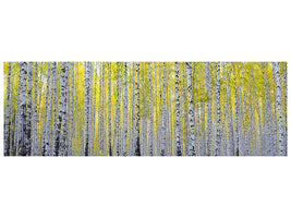 panoramic-canvas-print-autumnal-birch-forest