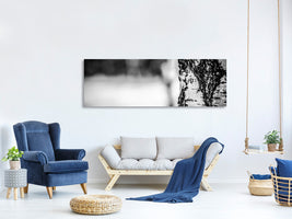 panoramic-canvas-print-birch-trunk