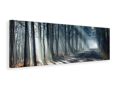panoramic-canvas-print-forest-in-the-light-beam