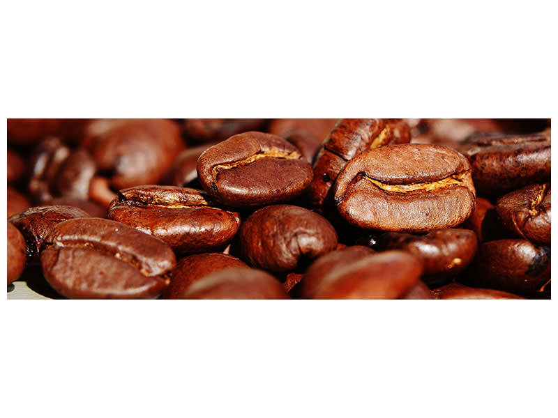 panoramic-canvas-print-giant-coffee-beans