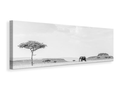 panoramic-canvas-print-high-key-savannah