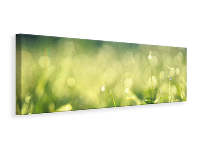 panoramic-canvas-print-in-the-meadow