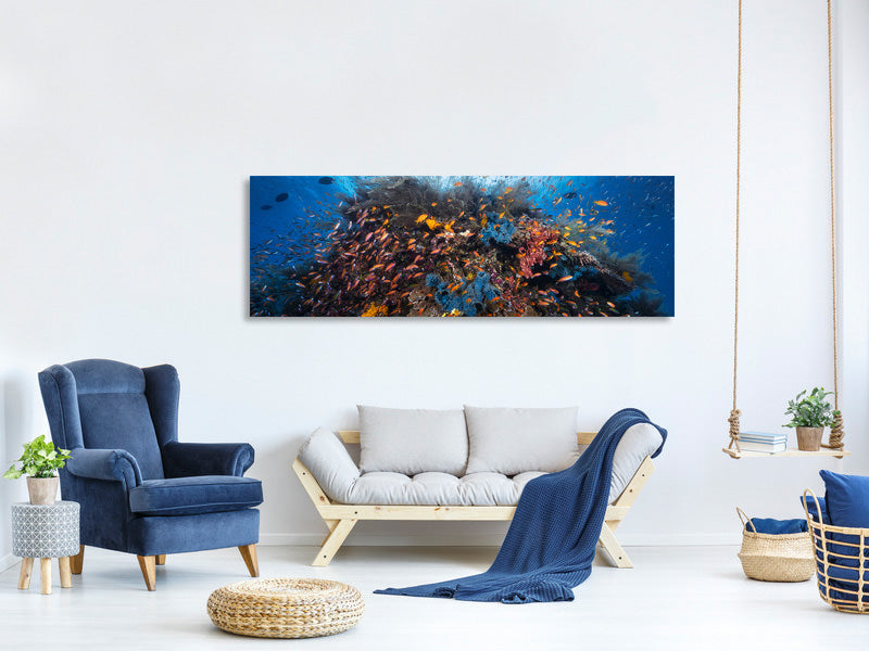 panoramic-canvas-print-life-explosion