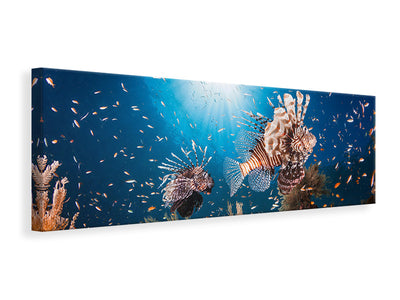 panoramic-canvas-print-lionfish-ii