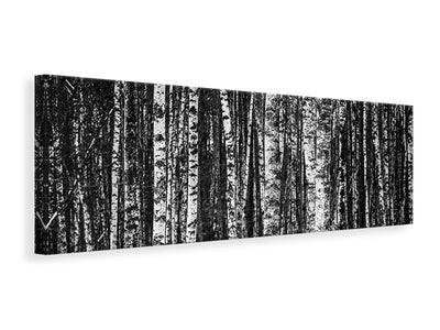 panoramic-canvas-print-many-birches-xl