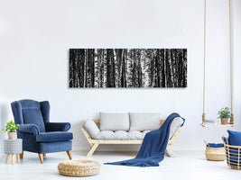 panoramic-canvas-print-many-birches-xl
