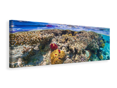 panoramic-canvas-print-mayotte-the-reef