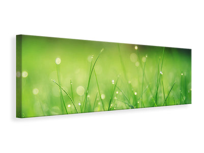 panoramic-canvas-print-meadow-with-morning-dew