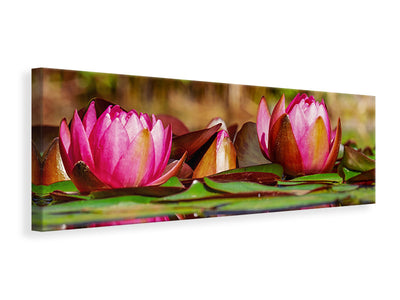 panoramic-canvas-print-red-water-lily-trio