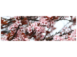 panoramic-canvas-print-spring-is-here