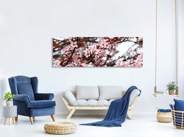 panoramic-canvas-print-spring-is-here