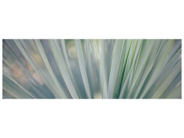 panoramic-canvas-print-strip-of-plant