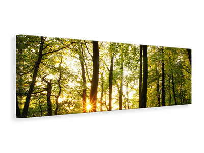 panoramic-canvas-print-sunset-between-trees
