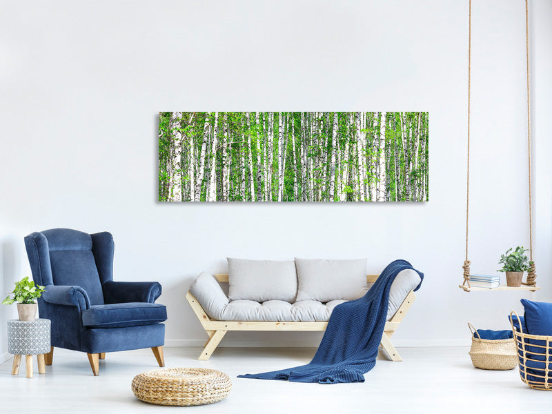 panoramic-canvas-print-the-birch-forest