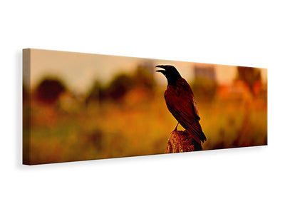 panoramic-canvas-print-the-crow-in-the-evening-light