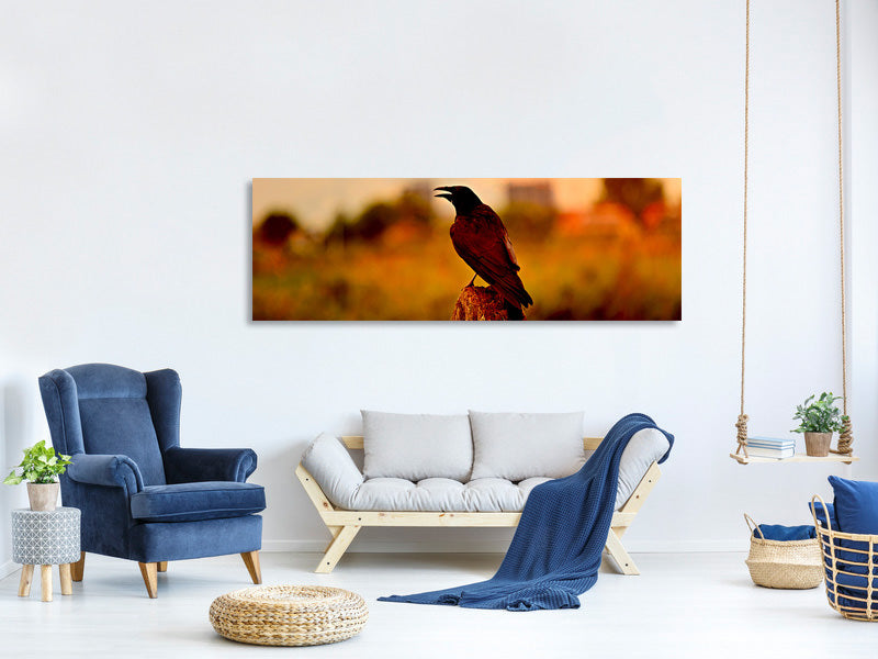 panoramic-canvas-print-the-crow-in-the-evening-light