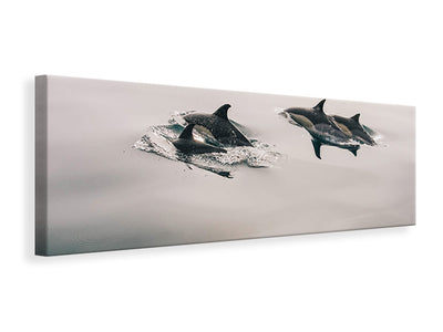 panoramic-canvas-print-the-dolphins
