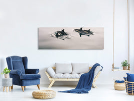 panoramic-canvas-print-the-dolphins