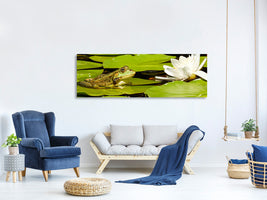 panoramic-canvas-print-the-frog-and-the-water-lily
