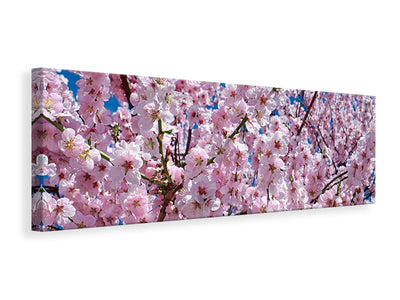 panoramic-canvas-print-the-japanese-cherry