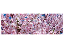 panoramic-canvas-print-the-japanese-cherry