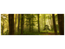 panoramic-canvas-print-the-little-tree