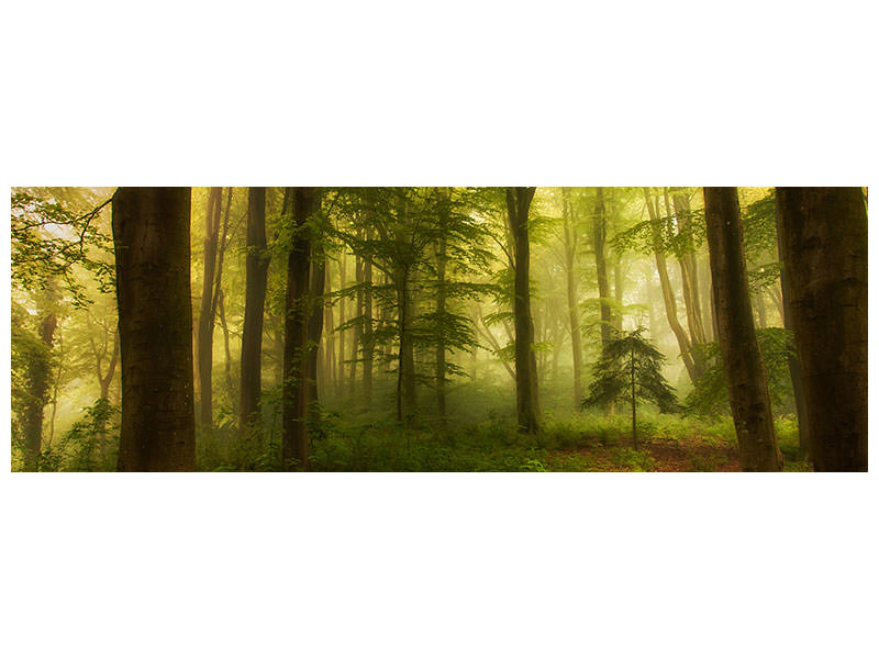 panoramic-canvas-print-the-little-tree