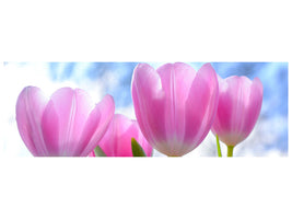 panoramic-canvas-print-tulips-in-nature
