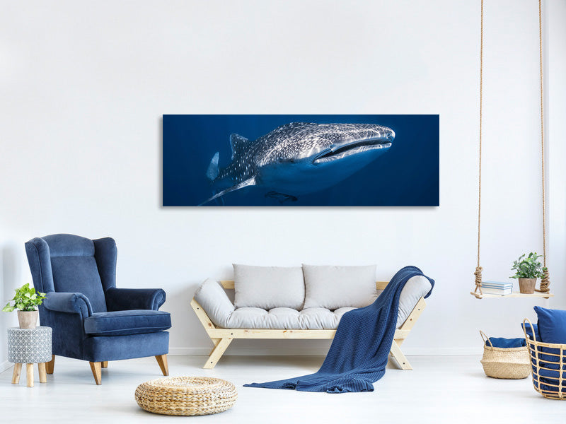 panoramic-canvas-print-whale-shark