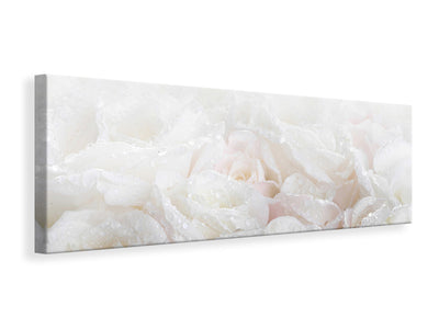 panoramic-canvas-print-white-roses-in-the-morning-dew